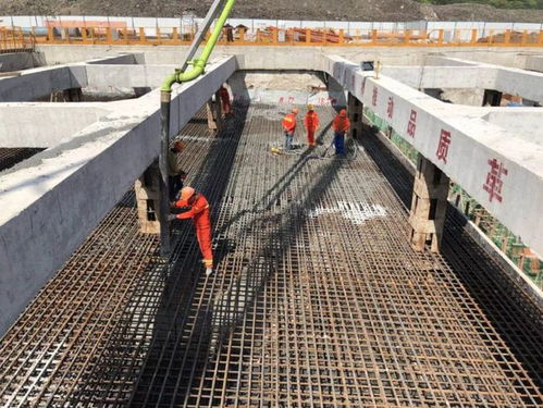 好消息一個接一個,和每個普陀人有關(guān)